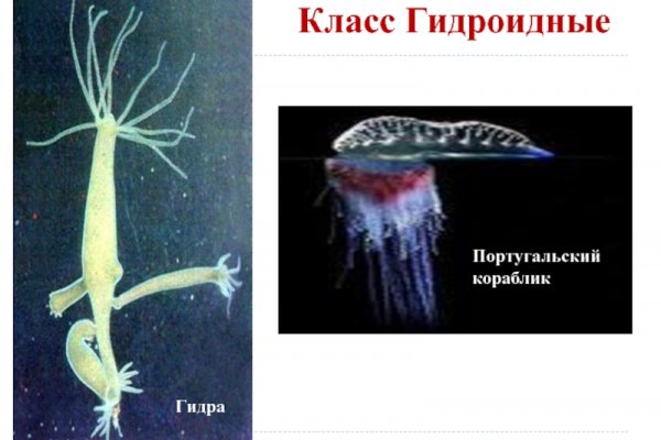 Кракен регистрация